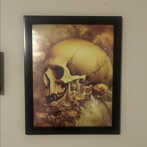 Framed Skull Art Print 16x20